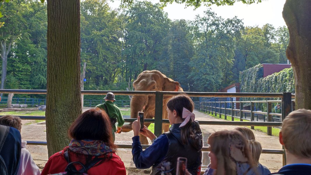 Wyjście klasy 6b do ZOO - zdjęcie 1