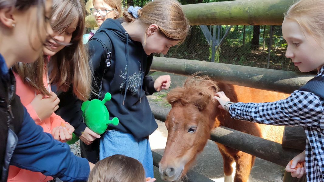 Wyjście klasy 6b do ZOO - zdjęcie 11