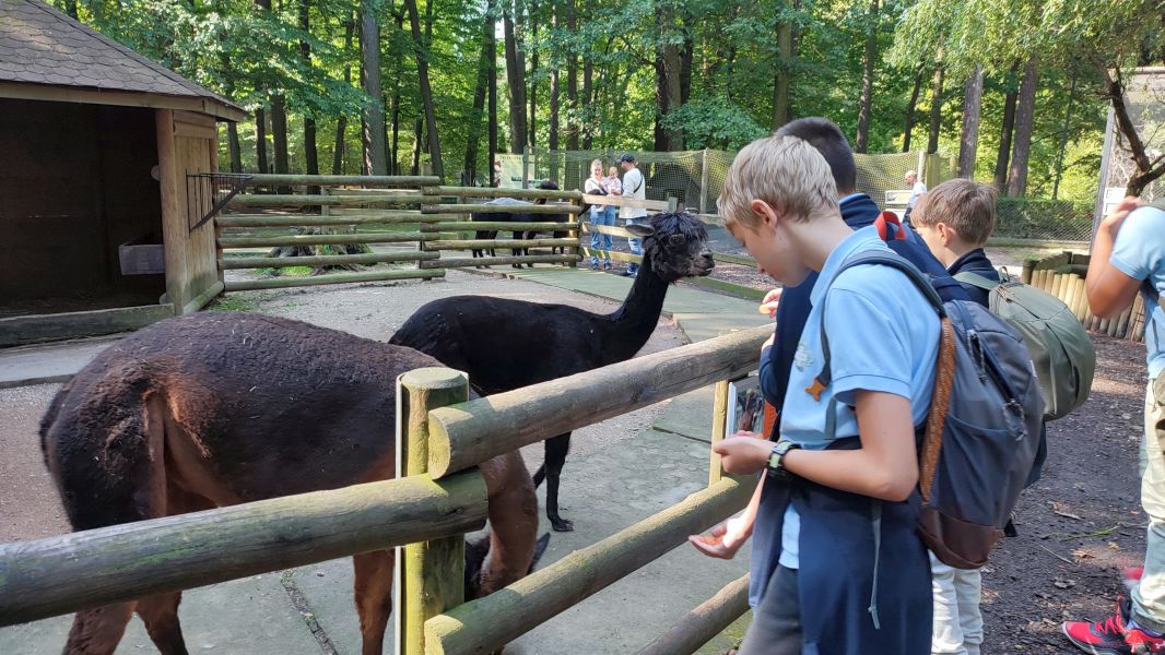 Wyjście klasy 6b do ZOO - zdjęcie 12