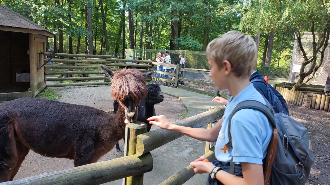 Wyjście klasy 6b do ZOO - zdjęcie 13