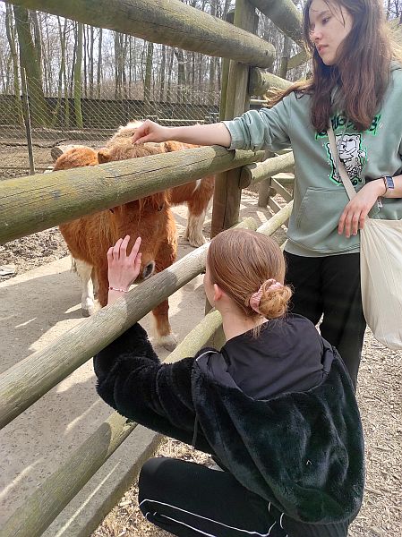 Lekcja w ogrodzie zoologicznym kl. 8b - 2025 - zdjęcie 14